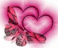 le papillon de l'amour